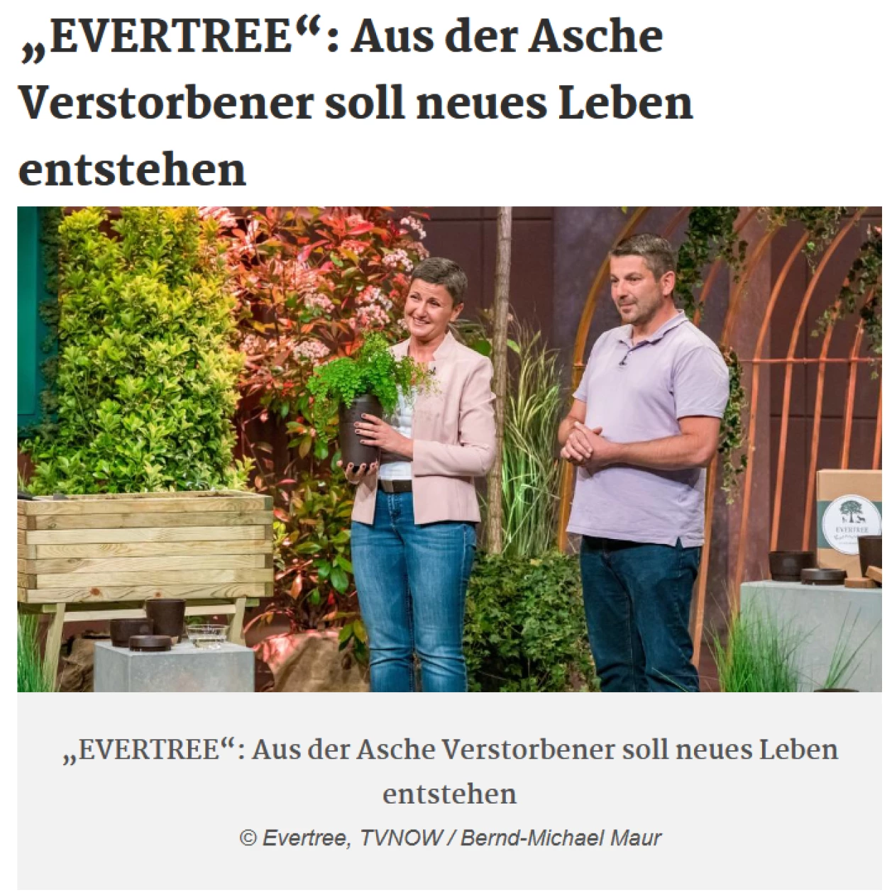 EVERTREE auf rtl.de