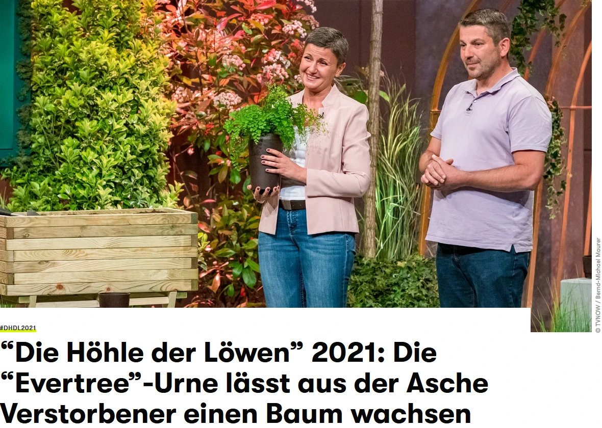 EVERTREE bei GQ