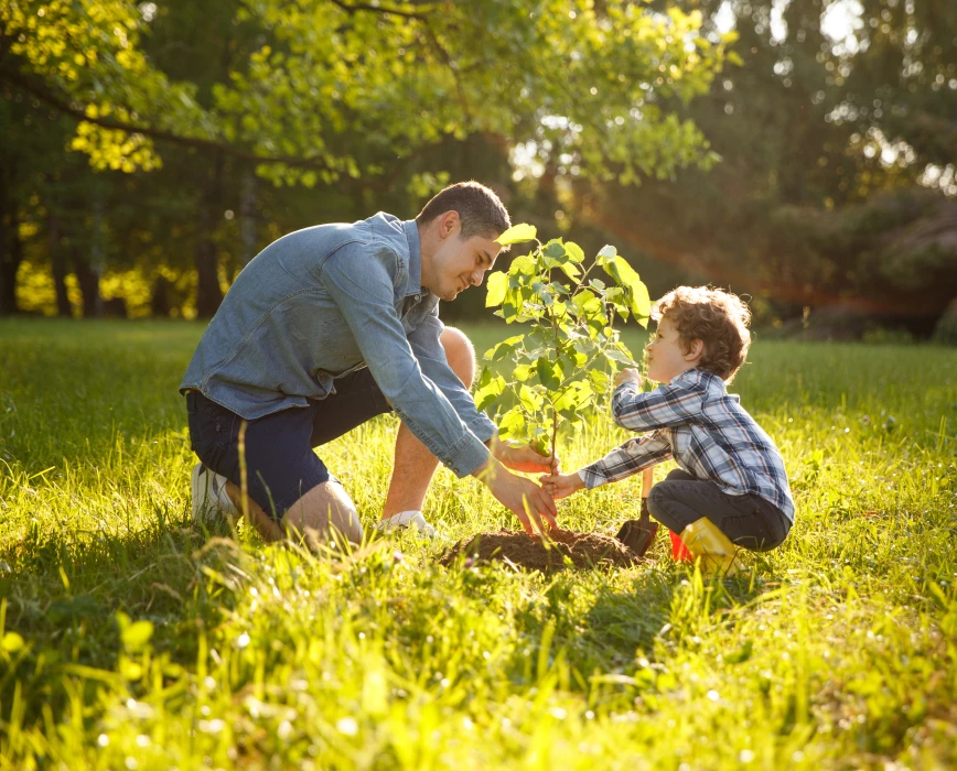Father and son plant EVERTREE