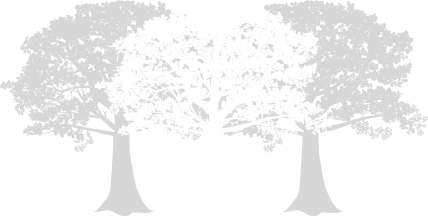 EVERCOMMUNITY