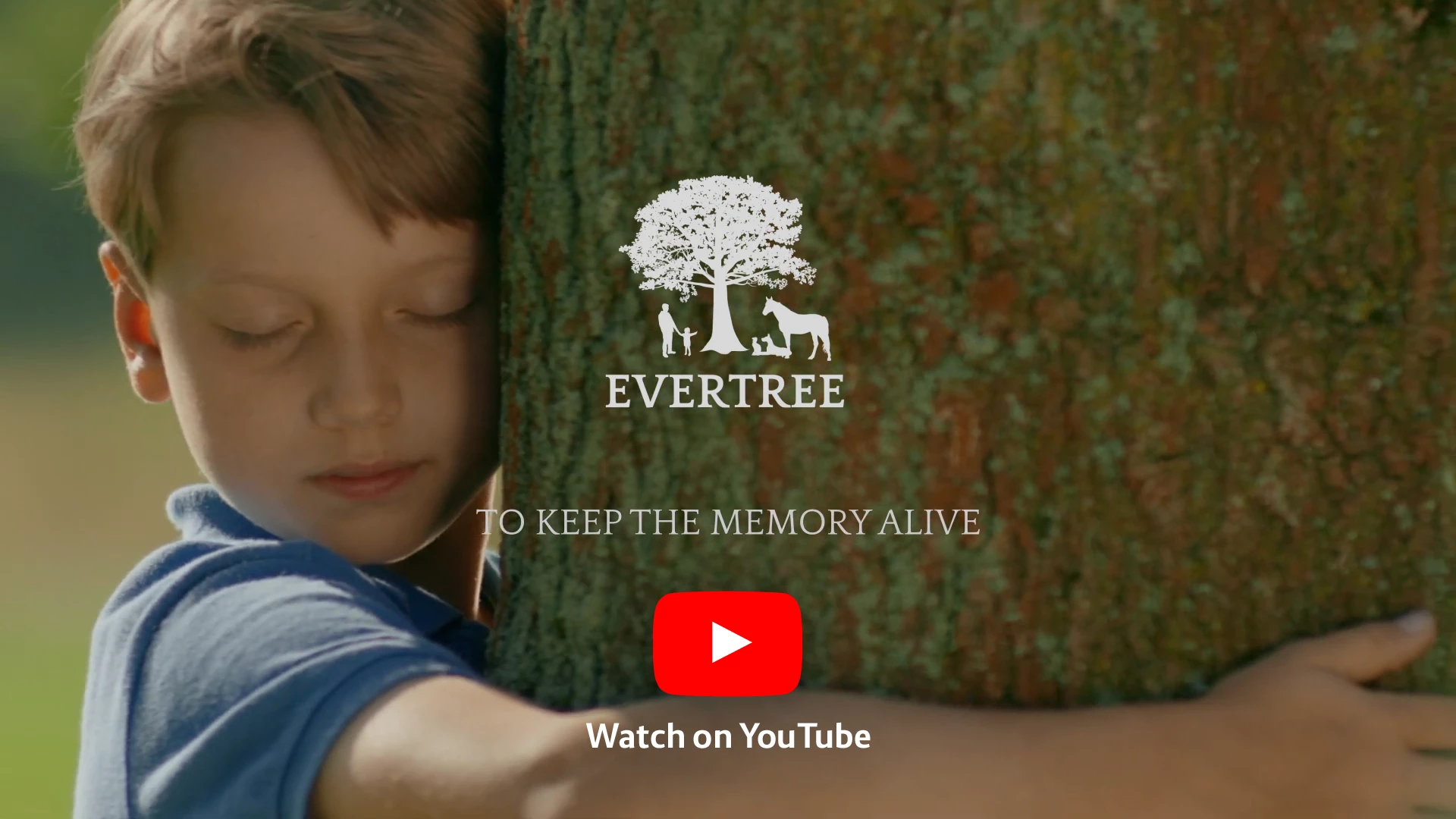 EVERTREE Video - Watch on YouTube